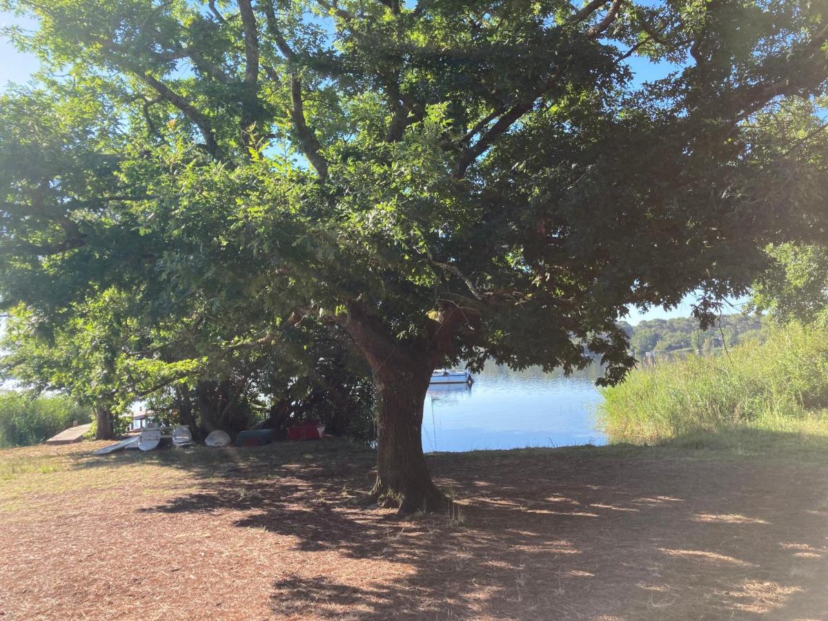Les Ptits Nids Du Lac Lacanau Dış mekan fotoğraf